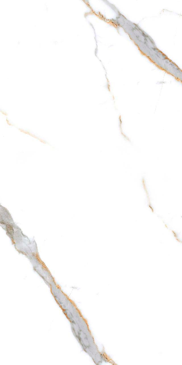 Porcelanato Calacatta Gold 24x48 Pulido Tipo Mármol