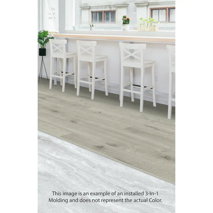 Vinyl Moldings - Whistler Ridge - Glacier Path - 3-in-1 Transition Molding
