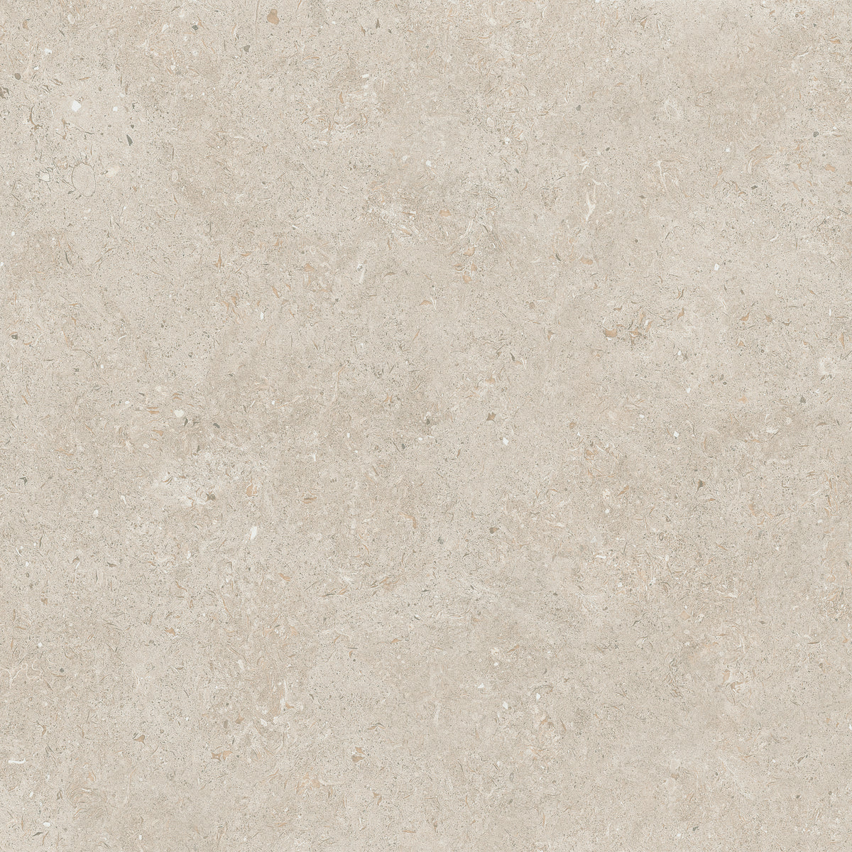 Ulisse Beige 24x24 Matte Porcelain Floor Tile