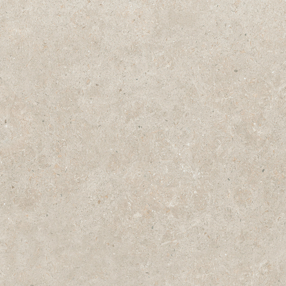 Beige porcelain wall tile