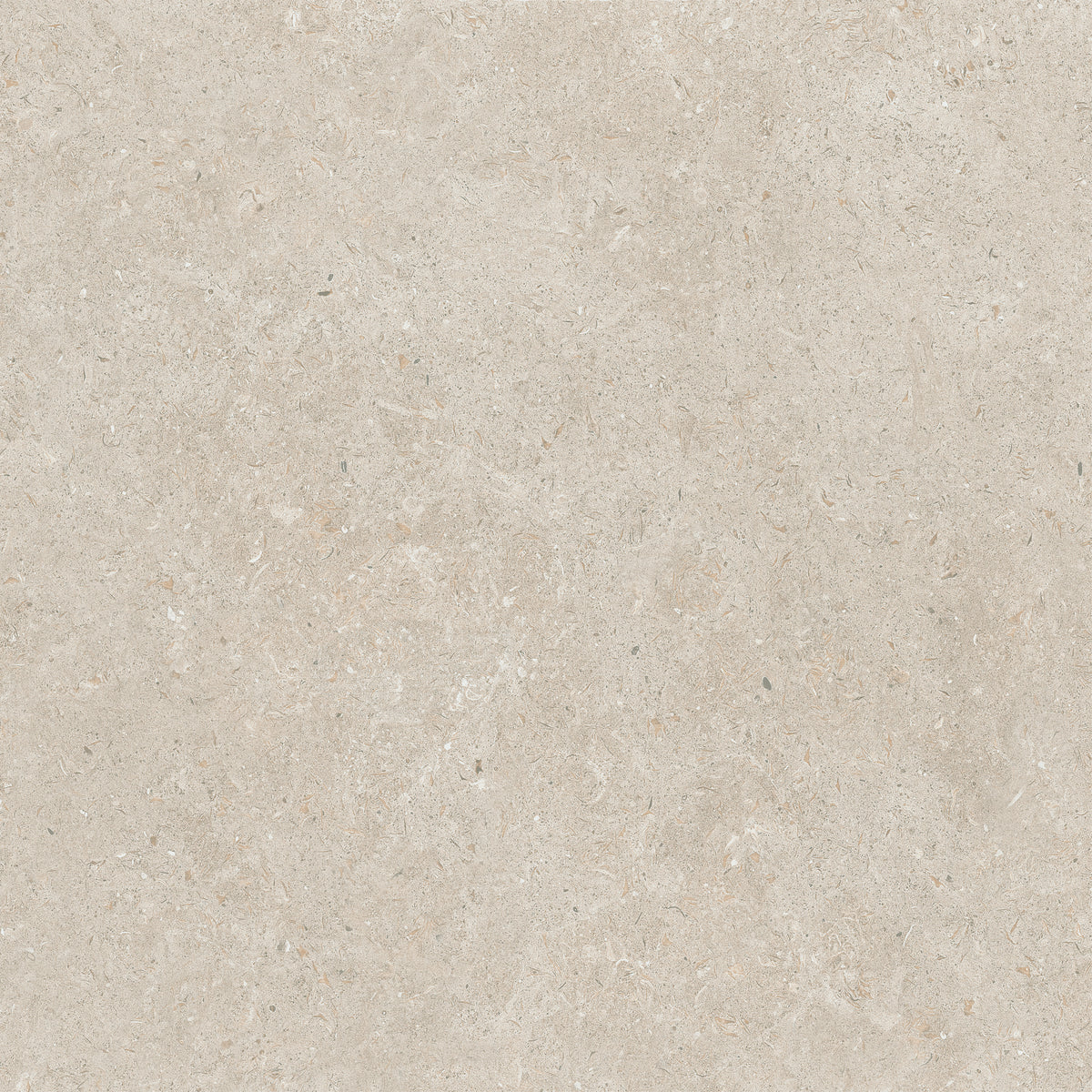 24x24 Matte Porcelain Floor Tile