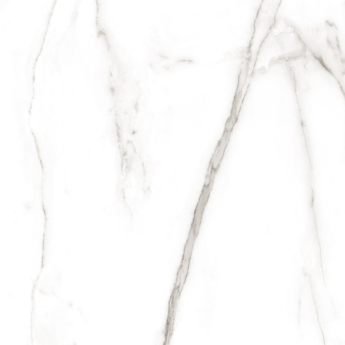 Calacatta Tranco 32x32 Polished Marble Look Porcelain Tile