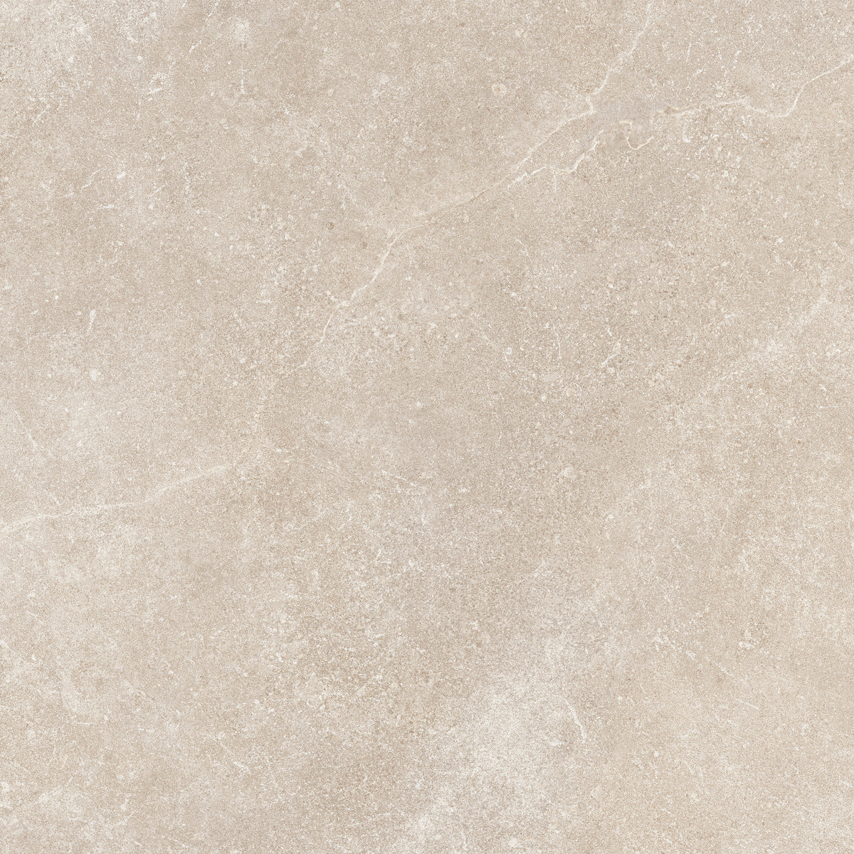 Matte Porcelain Wall Tile
