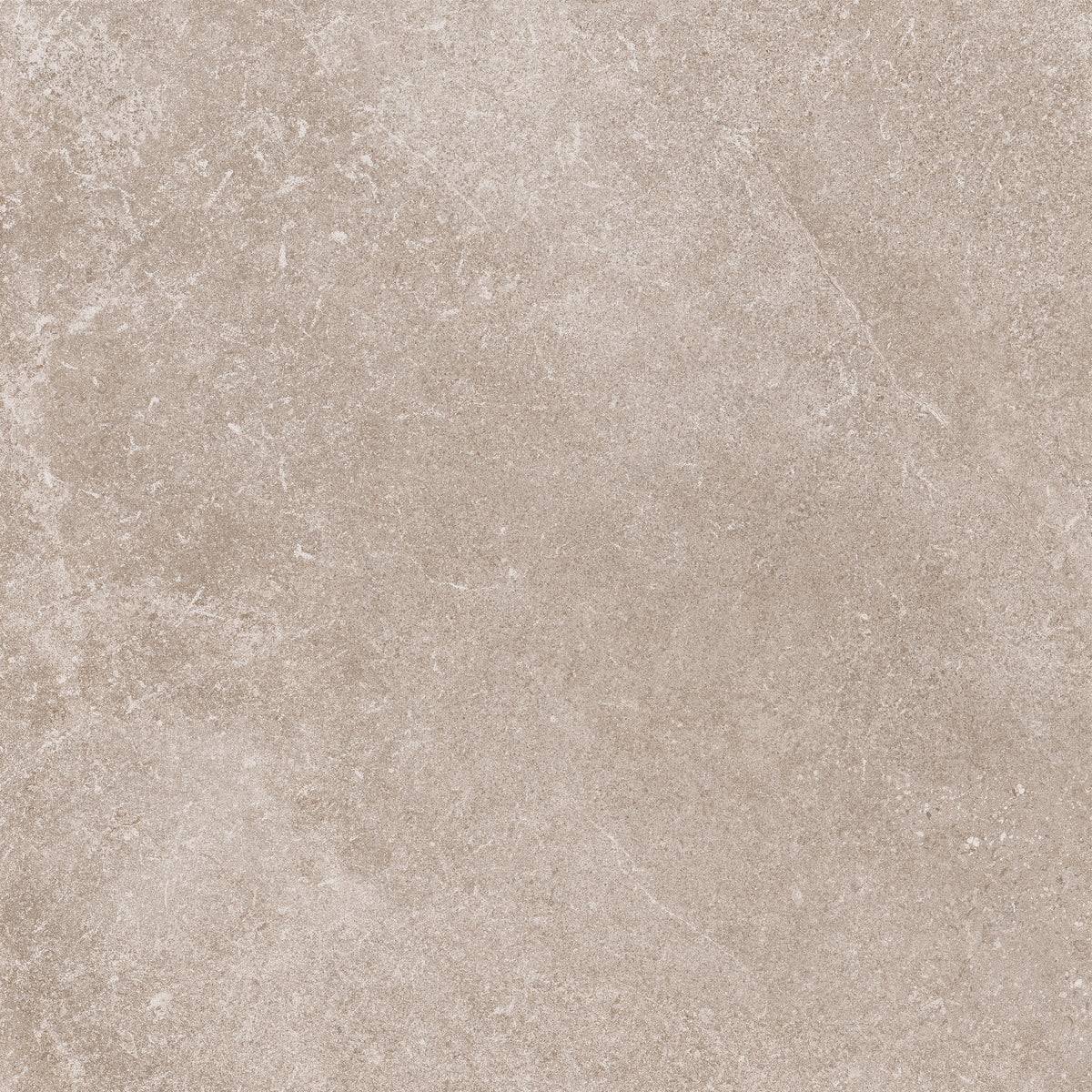 Natural Look Porcelain Tile