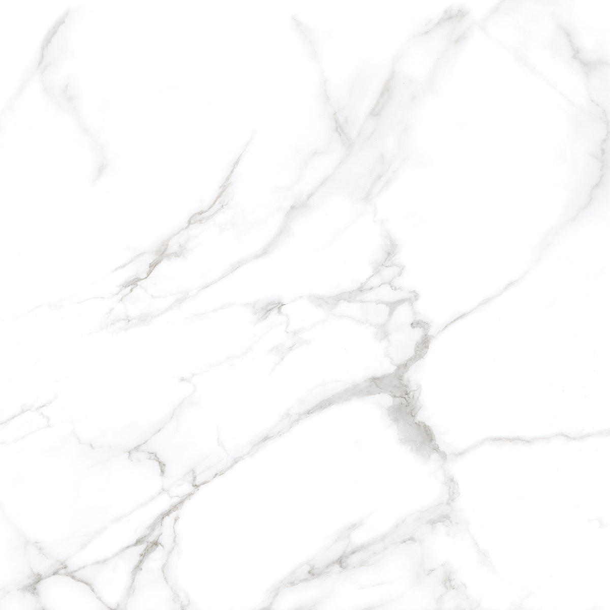 Silver Moon 24x24 Polished Marble Look Porcelain Tile
