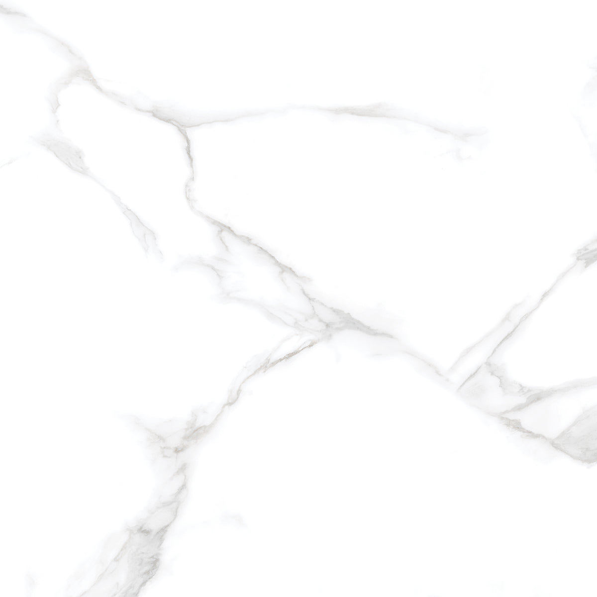 Silver Moon 24x24 Polished Marble Look Porcelain Tile