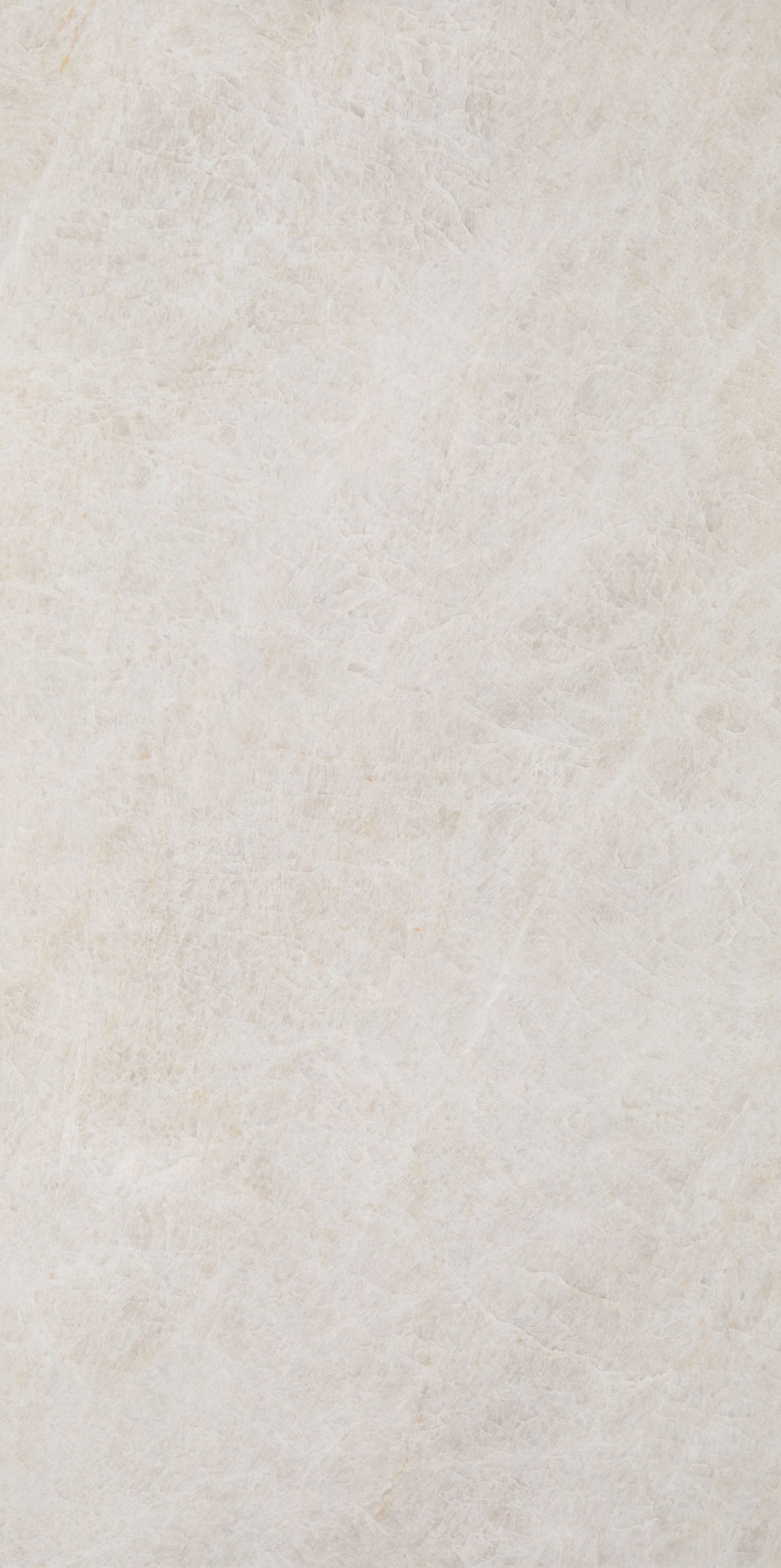 Taj Opus Palace Blanco Pulido 12x24