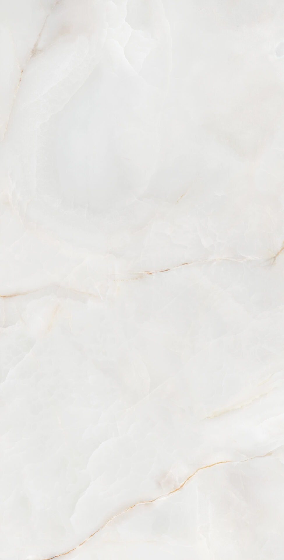 Onyx Reale 24x48 Cream Onyx Look Porcelain Tile
