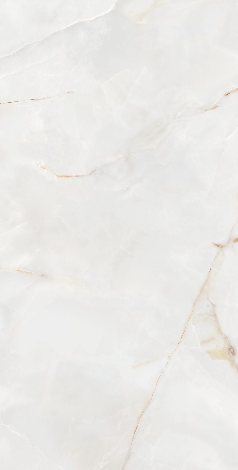 Onyx Reale 24x48 Cream Onyx Look Porcelain Tile