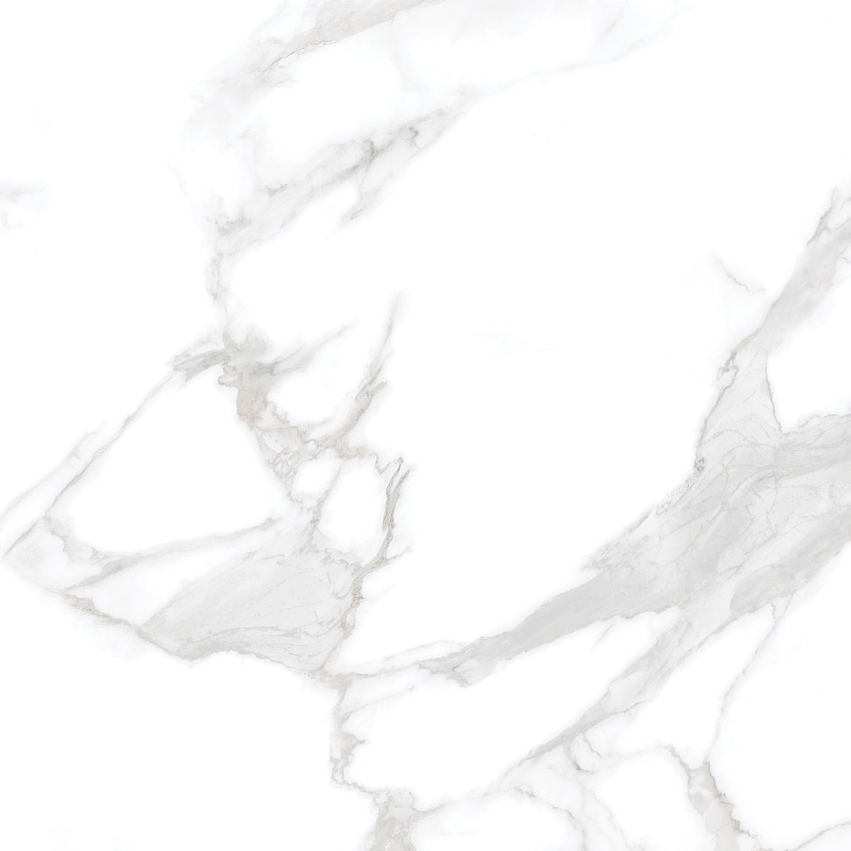 Silver Moon 24x24 Polished Marble Look Porcelain Tile