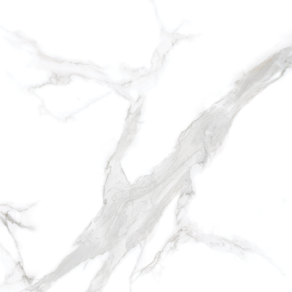 Silver Moon 24x24 Polished Marble Look Porcelain Tile