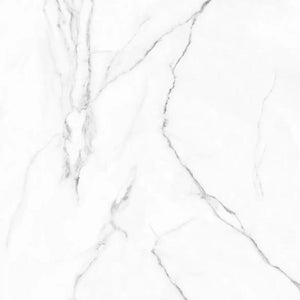 Olimpo 48x48 Polished Marble Look Porcelain Tile