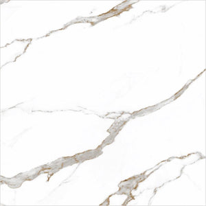 Carrara Plus 22x22 Glossy Marble Look Ceramic Tile
