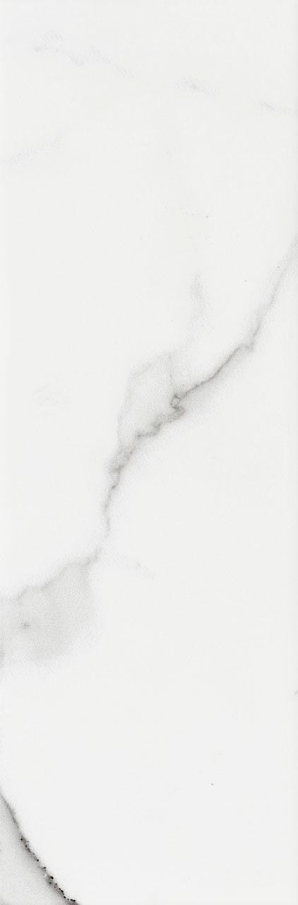 Belmar Glossy 4x12 Ceramic Wall Tile