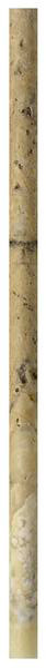 Antique Onyx Tumbled Travertine Pencil Liner 3/4x12