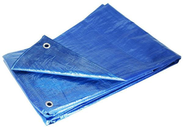 Blue Tarp 8x10' 1