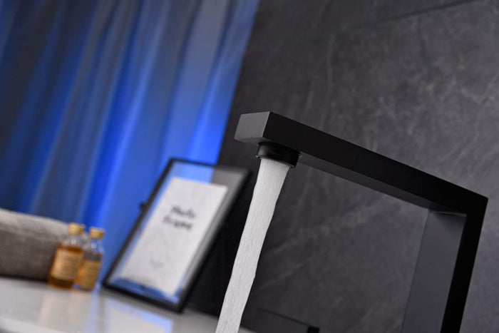 Two-Handle Bathroom Faucet 06139B - Matte Black 2