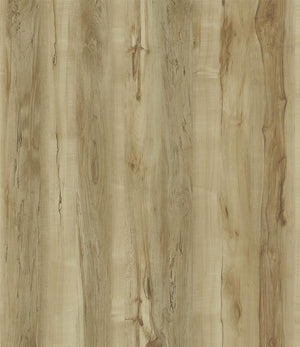Spa White Birch 7x48 Tabla de vinilo de lujo con aspecto de madera