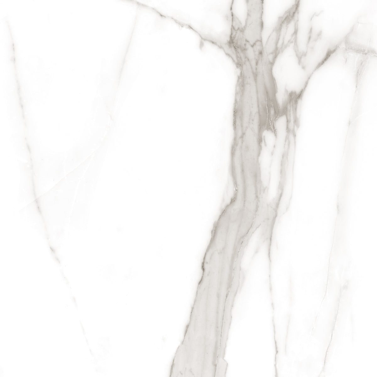 Calacatta Tranco 32x32 Polished Marble Look Porcelain Tile