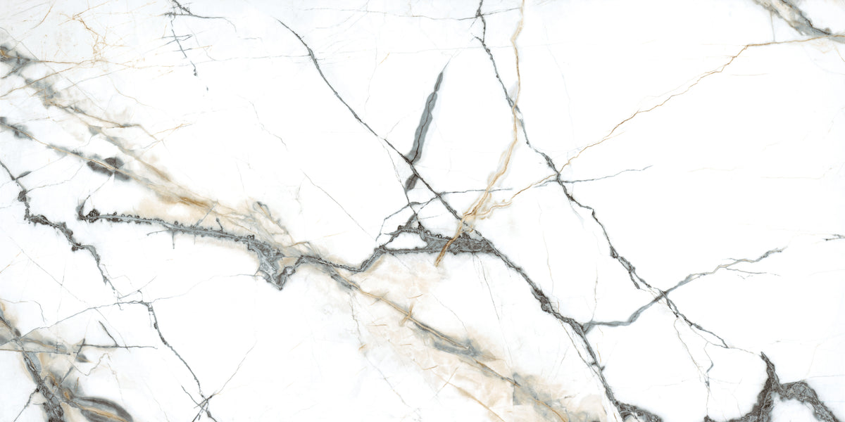 Pietra Marme de Milano 24x48 Marble Look Porcelain Tile