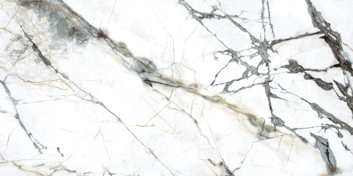 Pietra Marme de Milano 24x48 Marble Look Porcelain Tile