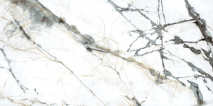 Pietra Marme de Milano 24x48 Marble Look Porcelain Tile