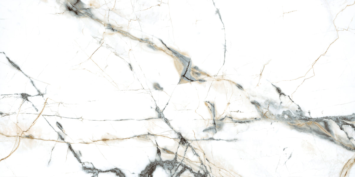 Pietra Marme de Milano 24x48 Marble Look Porcelain Tile