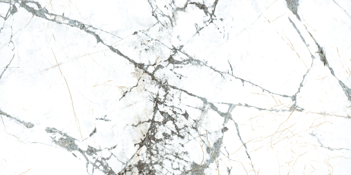 Pietra Marme de Milano 24x48 Marble Look Porcelain Tile
