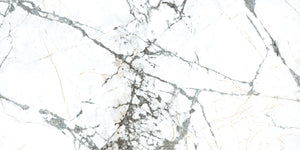 Pietra Marme de Milano 24x48 Marble Look Porcelain Tile