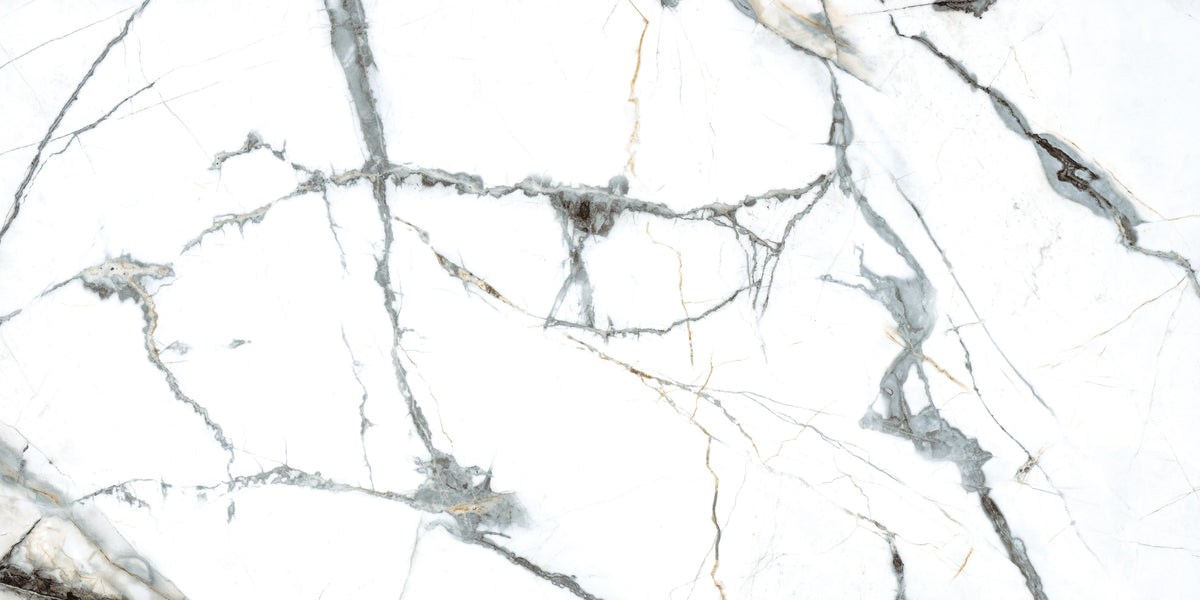 Pietra Marme de Milano 24x48 Marble Look Porcelain Tile