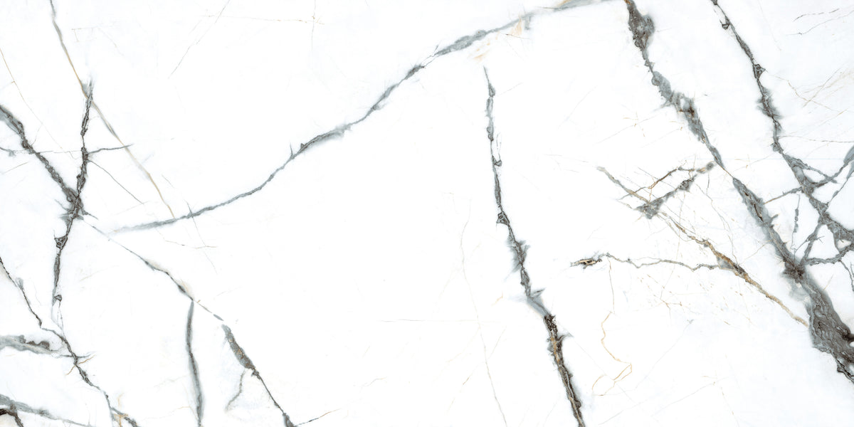 Pietra Marme de Milano 24x48 Marble Look Porcelain Tile