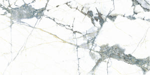 Pietra Marme de Milano 24x48 Marble Look Porcelain Tile