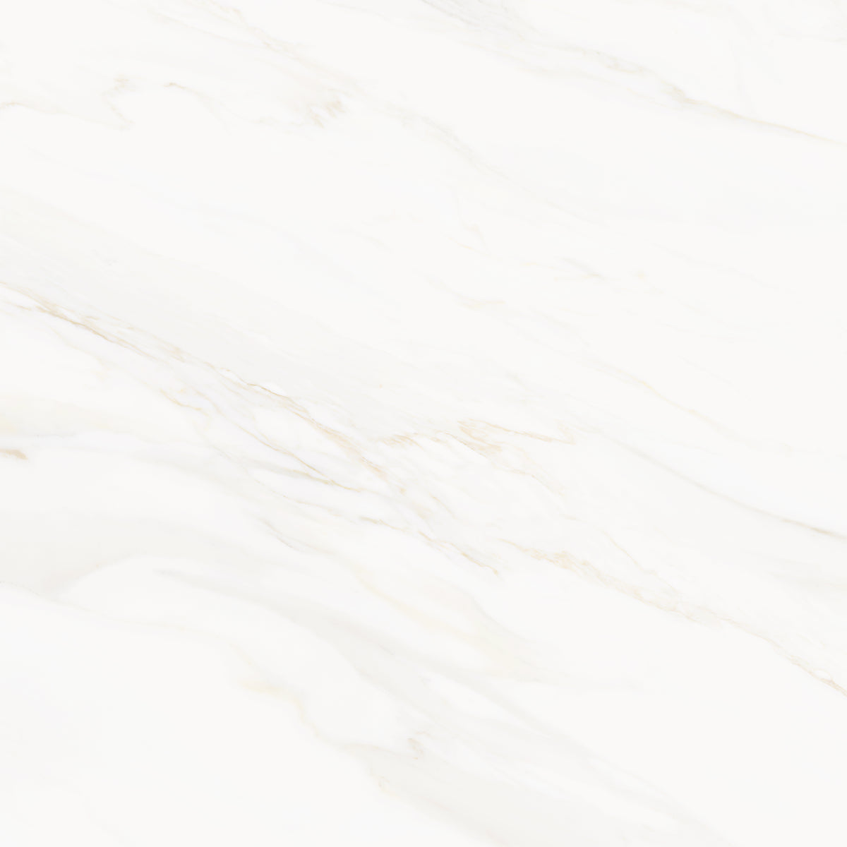 Venus Alpe AC 24x24 Textured Marble Look Porcelain Tile