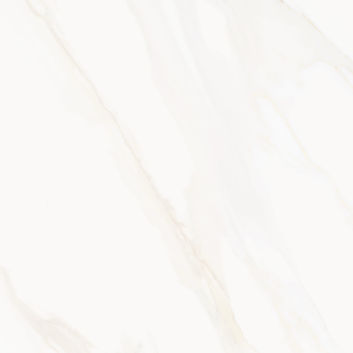 Venus Alpe AC 24x24 Textured Marble Look Porcelain Tile