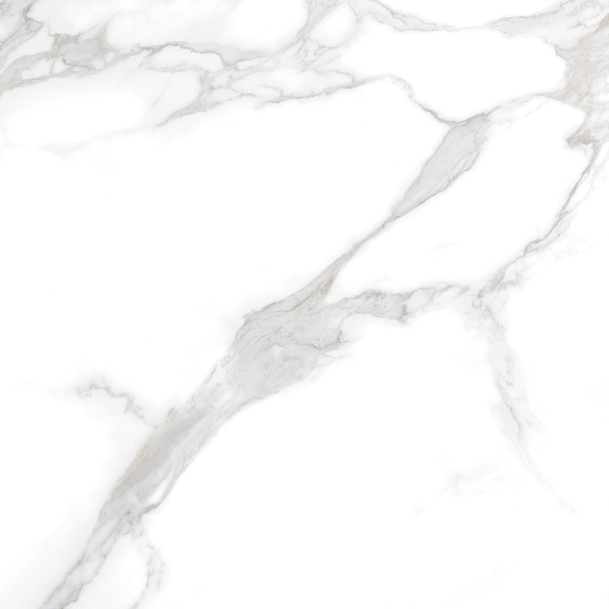 Silver Moon 24x24 Polished Marble Look Porcelain Tile
