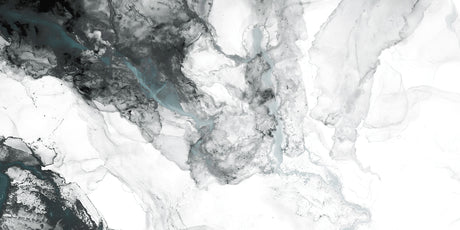 T113481