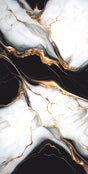 Basaltino Black Polished 24x48 porcelain tile
