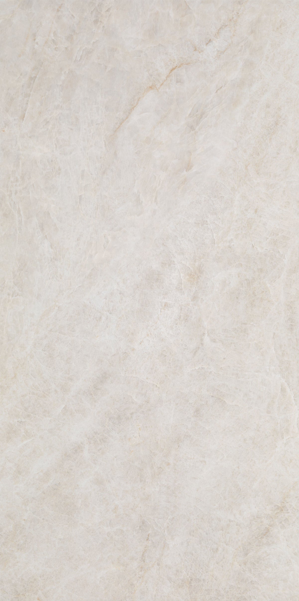 Taj Opus Palace Blanco Pulido 12x24