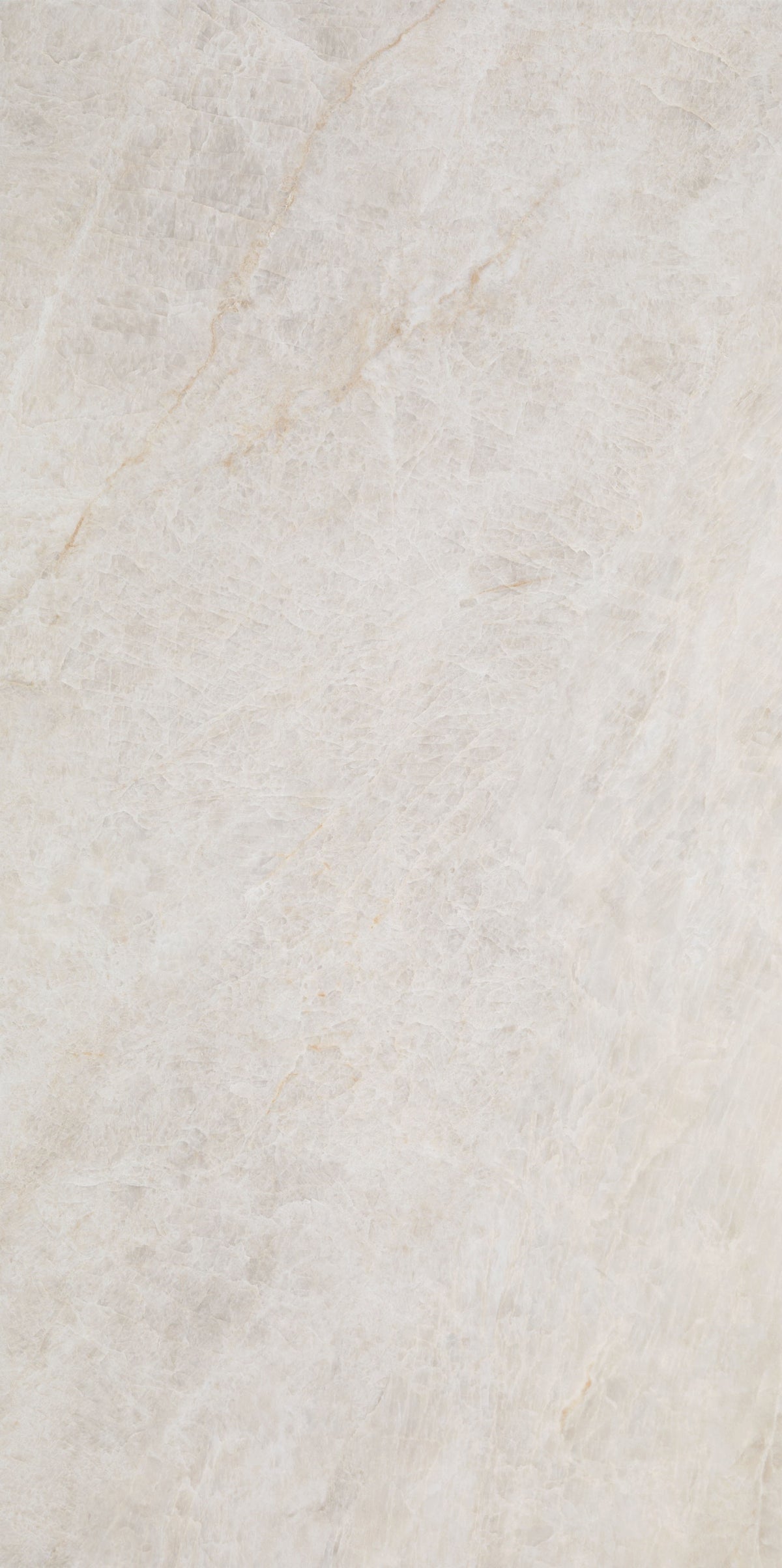 Taj Opus Palace Blanco Pulido 12x24