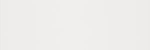 Diamante Branco Matte 12x36 NP Ceramic Tile