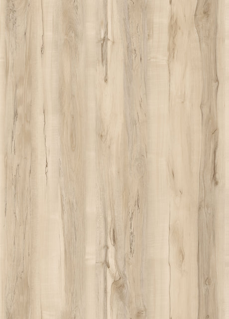 T836955 whitebirch item
