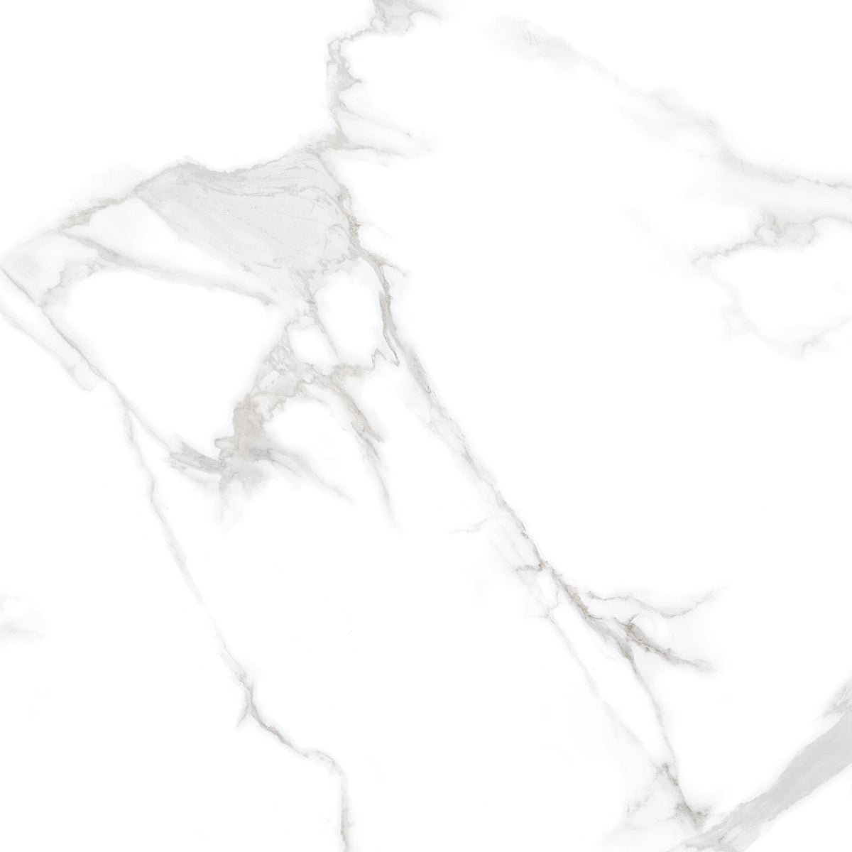 Silver Moon 24x24 Polished Marble Look Porcelain Tile